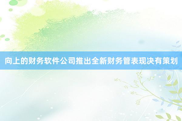 向上的财务软件公司推出全新财务管表现决有策划