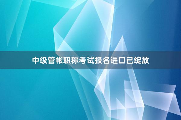中级管帐职称考试报名进口已绽放